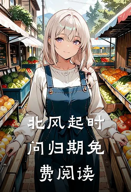 北风起时问归期免费阅读