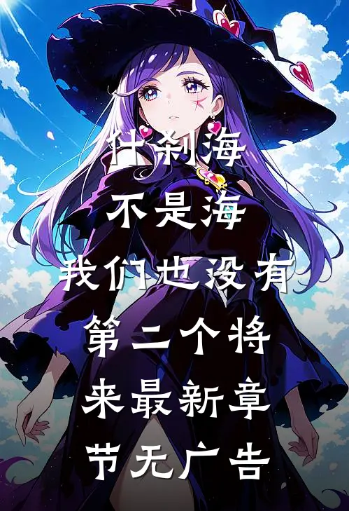什刹海不是海，我们也没有第二个将来最新章节无广告
