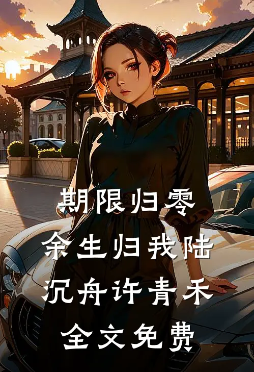 期限归零，余生归我陆沉舟许青禾全文免费