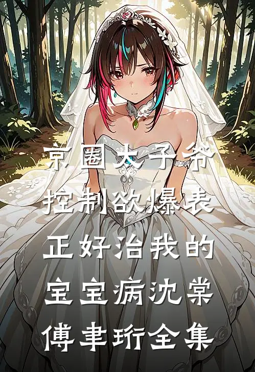 京圈太子爷控制欲爆表，正好治我的宝宝病沈棠傅聿珩全集