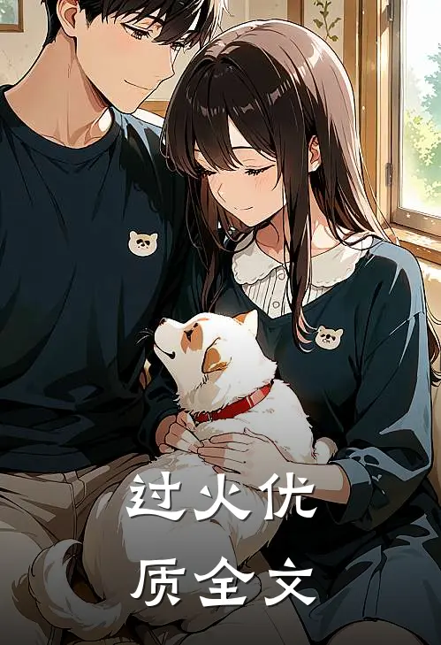 过火优质全文
