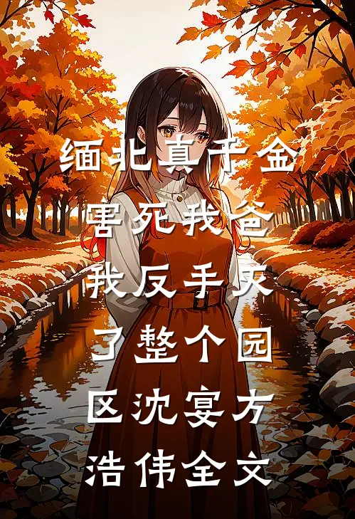 缅北真千金害死我爸，我反手灭了整个园区沈宴方浩伟全文