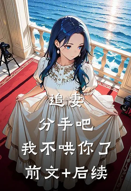 追妻：分手吧，我不哄你了前文+后续