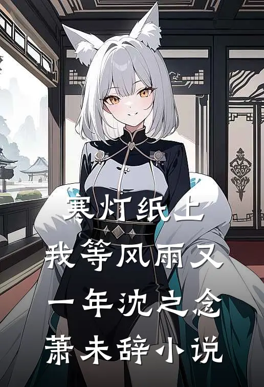 寒灯纸上，我等风雨又一年沈之念萧未辞小说