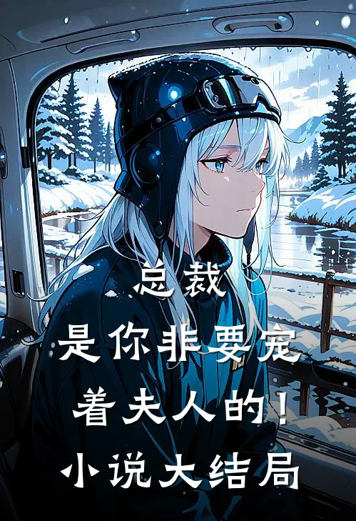 总裁，是你非要宠着夫人的！小说大结局