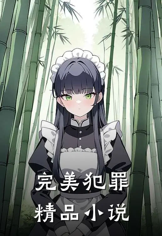 完美犯罪精品小说