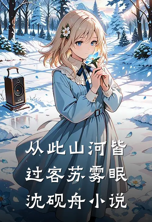 从此山河皆过客苏雾眠沈砚舟小说