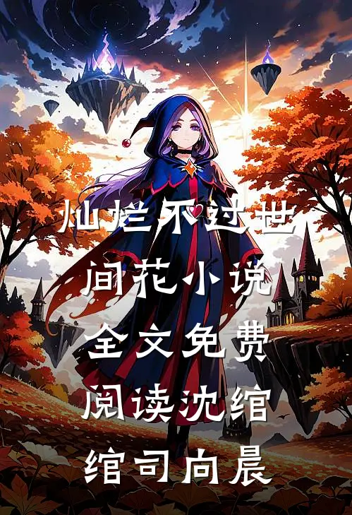 灿烂不过世间花小说全文免费阅读沈绾绾司向晨