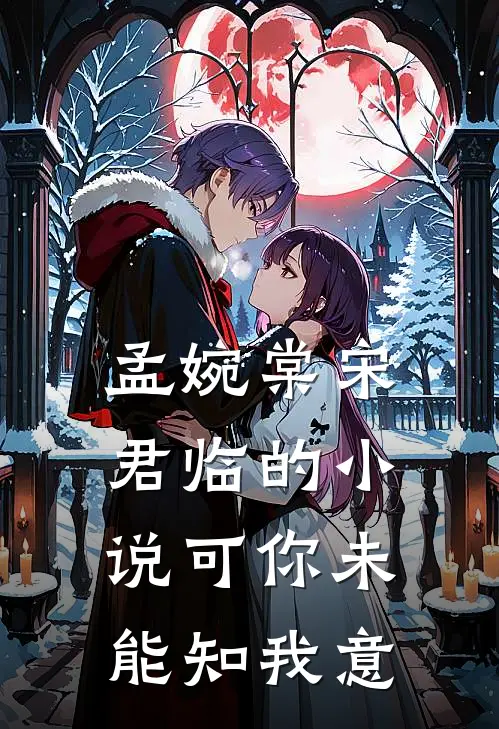 孟婉棠宋君临的小说可你未能知我意