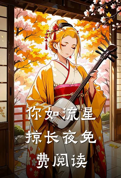 你如流星掠长夜免费阅读