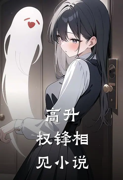 高升：权锋相见小说