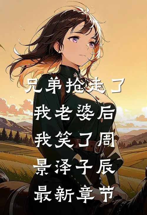 兄弟抢走了我老婆后，我笑了周景泽子辰最新章节