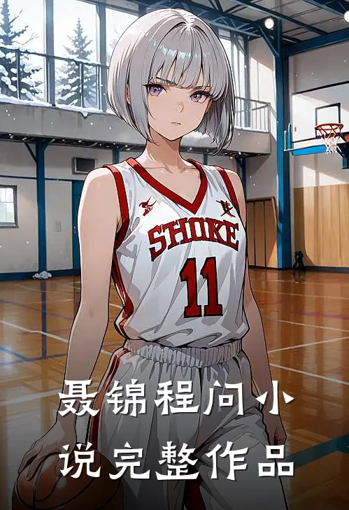 聂锦程问小说完整作品