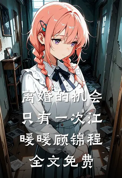 离婚的机会只有一次江暖暖顾锦程全文免费