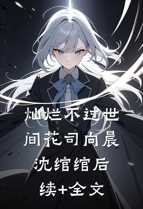 灿烂不过世间花司向晨沈绾绾后续+全文