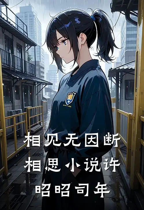 相见无因断相思小说许昭昭司年