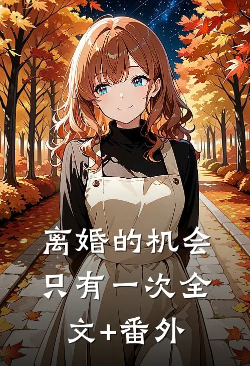 离婚的机会只有一次全文+番外