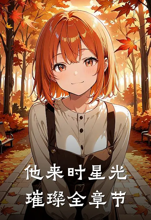 他来时星光璀璨全章节