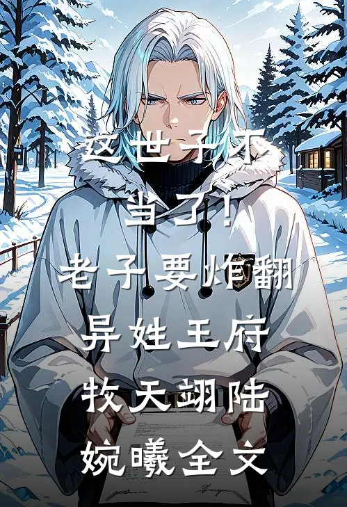 这世子不当了！老子要炸翻异姓王府牧天翊陆婉曦全文