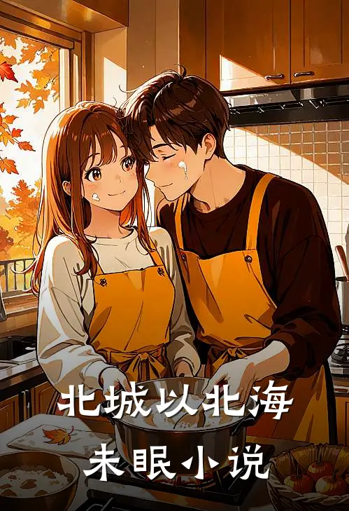 北城以北海未眠小说
