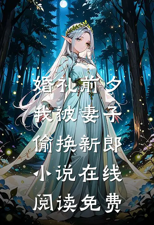 婚礼前夕，我被妻子偷换新郎小说在线阅读免费