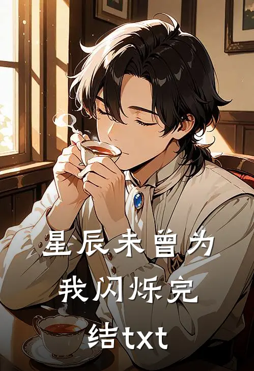 星辰未曾为我闪烁完结txt