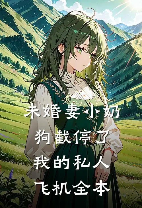未婚妻小奶狗截停了我的私人飞机全本