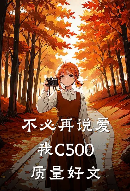 不必再说爱我C500质量好文