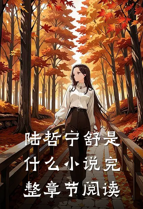 陆哲宁舒是什么小说完整章节阅读