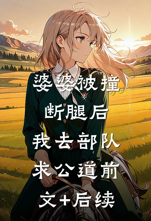 婆婆被撞断腿后，我去部队求公道前文+后续