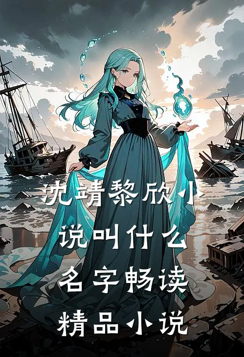沈靖黎欣小说叫什么名字畅读精品小说