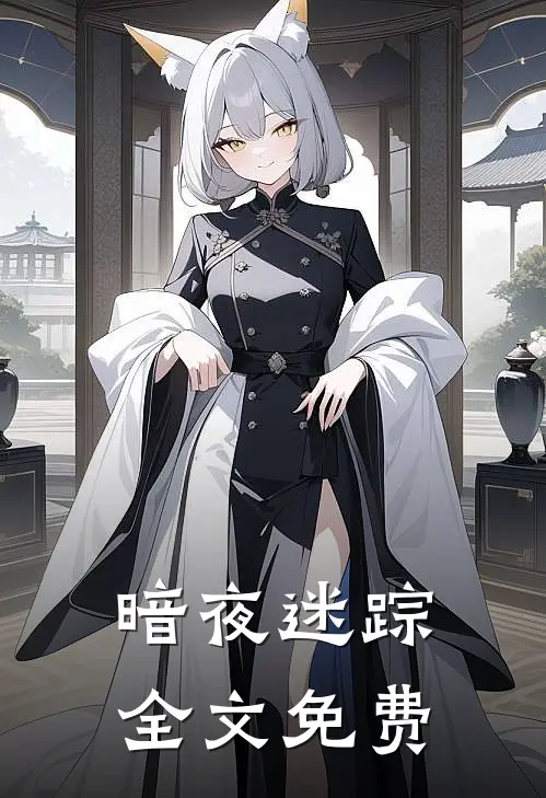 暗夜迷踪全文免费