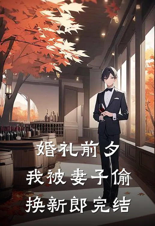 婚礼前夕，我被妻子偷换新郎完结