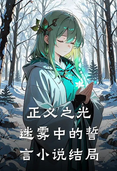《正义之光：迷雾中的誓言》小说结局