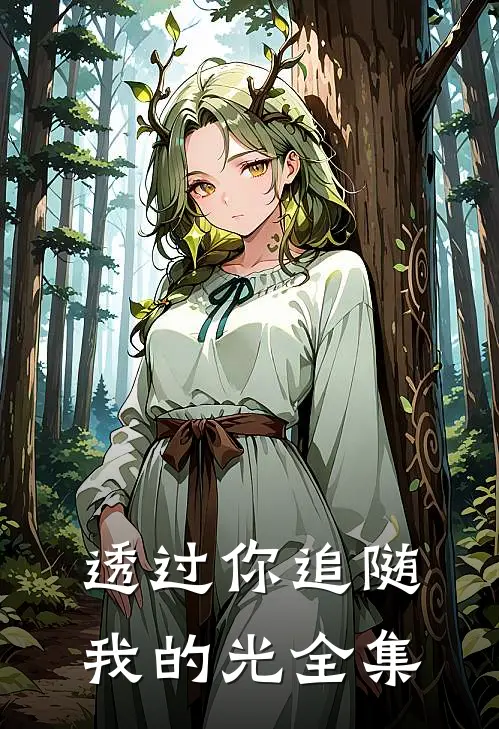 透过你追随我的光 全集