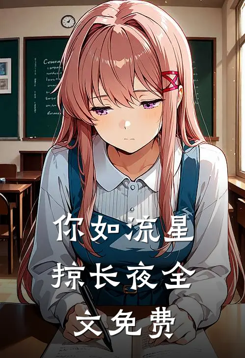 你如流星掠长夜全文免费