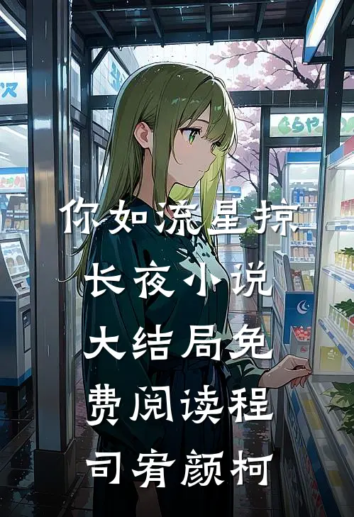 你如流星掠长夜小说大结局免费阅读程司宥颜柯