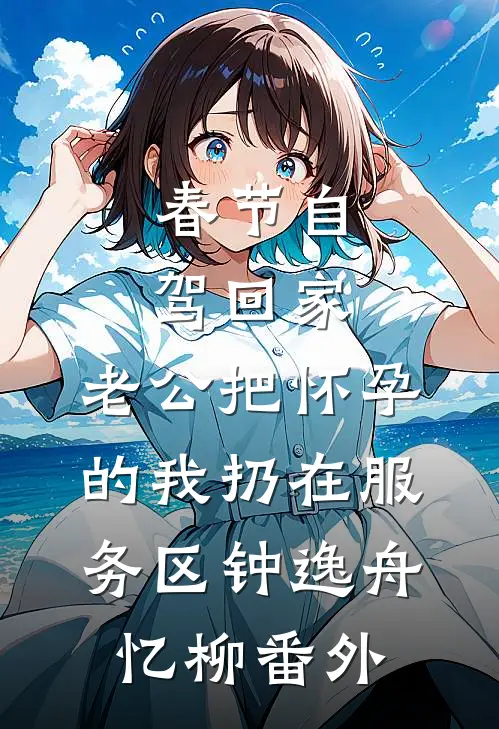 春节自驾回家，老公把怀孕的我扔在服务区钟逸舟忆柳番外