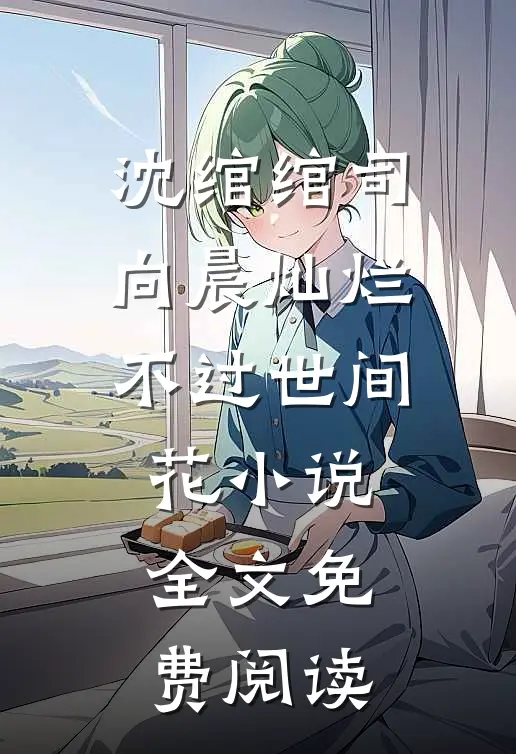 沈绾绾司向晨灿烂不过世间花小说全文免费阅读
