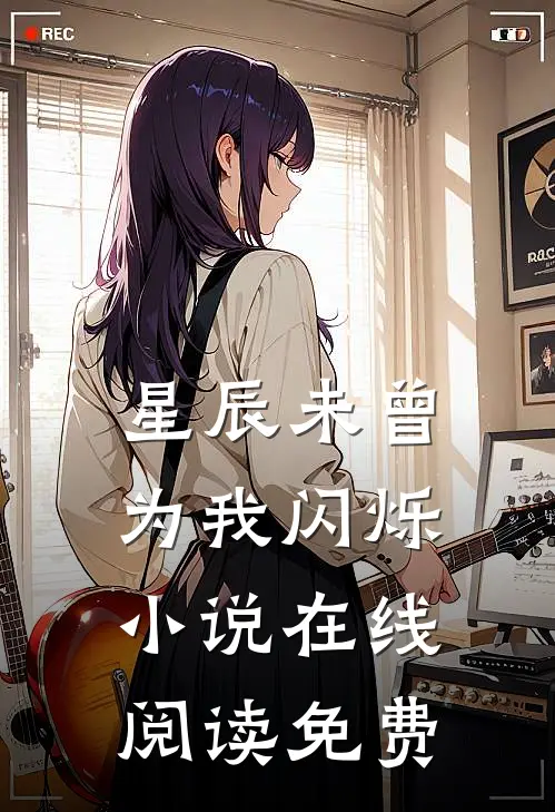 星辰未曾为我闪烁小说在线阅读免费
