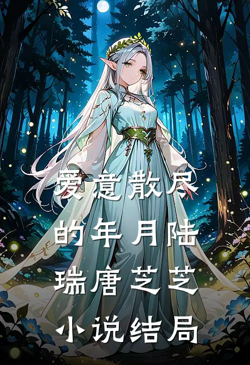 爱意散尽的年月陆瑞唐芝芝小说结局