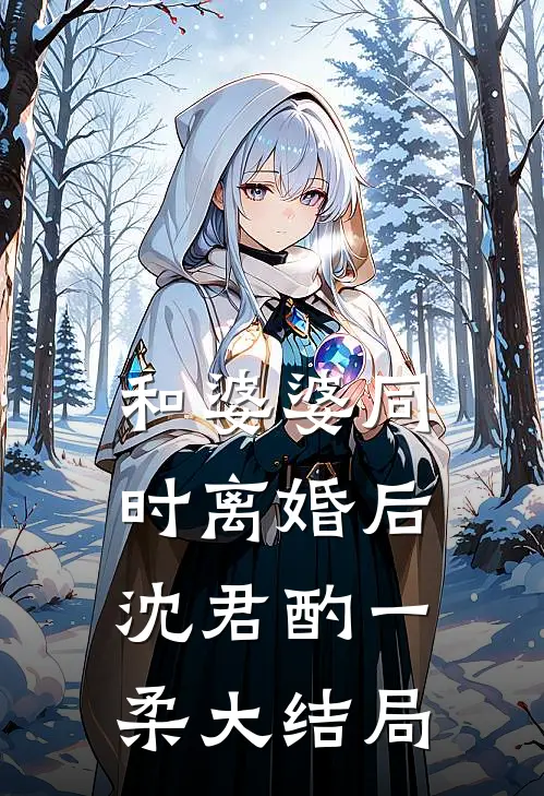 和婆婆同时离婚后沈君酌一柔大结局