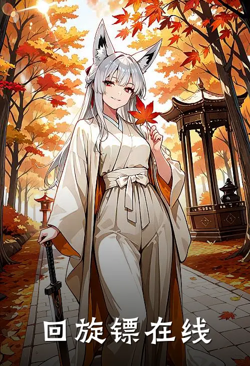 回旋镖在线