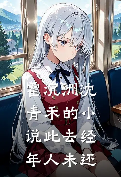 霍沉洲沈青禾的小说此去经年人未还