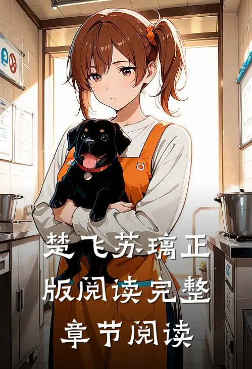 楚飞苏璃正版阅读完整章节阅读