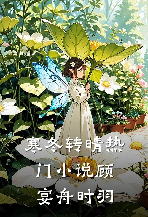 寒冬转晴热门小说顾宴舟时羽