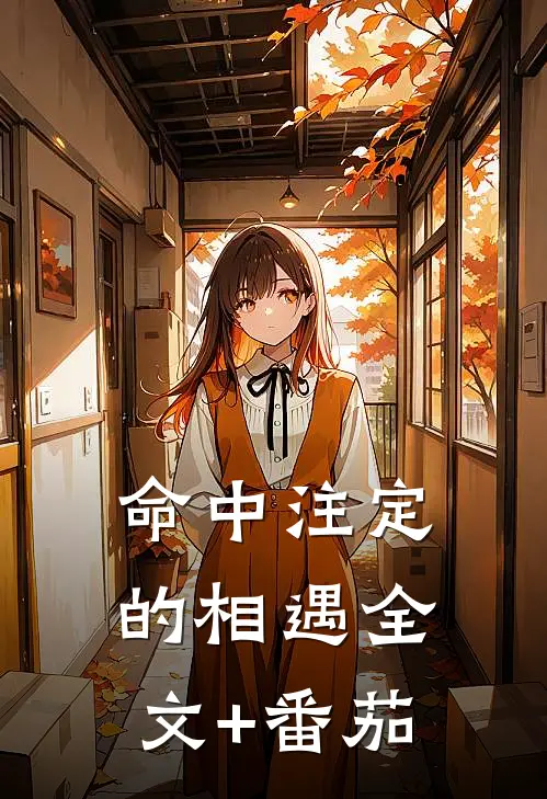命中注定的相遇全文+番茄