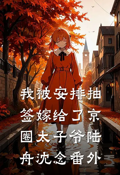 我被安排抽签嫁给了京圈太子爷陆舟沈念 番外