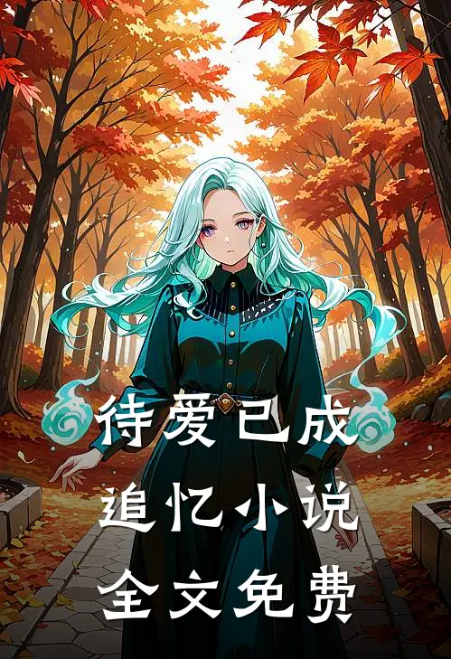 待爱已成追忆小说全文免费