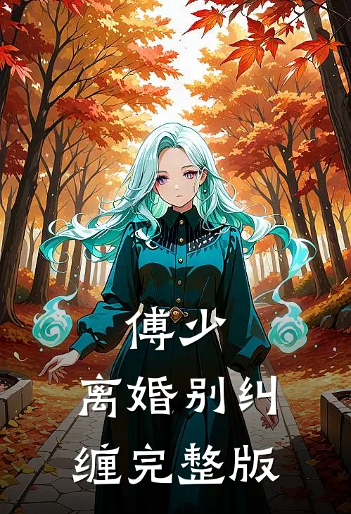 傅少，离婚别纠缠完整版
